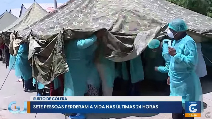 Rede Girassol