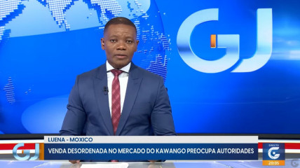 Rede Girassol - Rede Girassol
