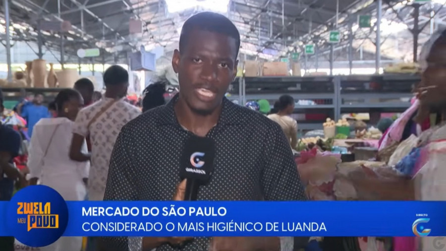 Rede Girassol