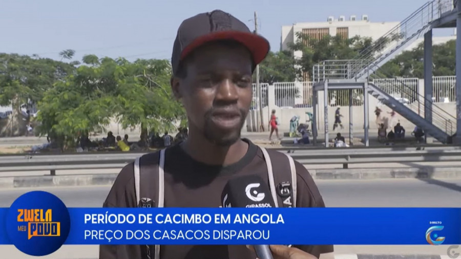 Rede Girassol