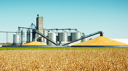 Complexo Agro-industrial - DR