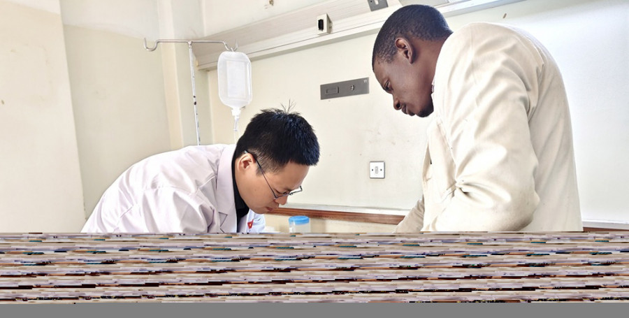 Zimbabwe e China refor&ccedil;am coopera&ccedil;&atilde;o em medicina respirat&oacute;ria