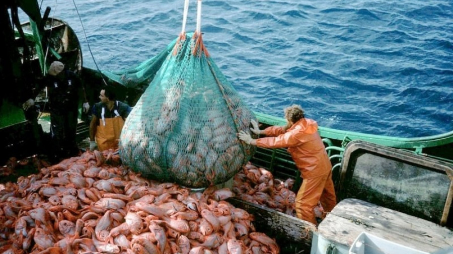 Cabo Verde lança concurso internacional para pescado na Ilha de São Vicente
