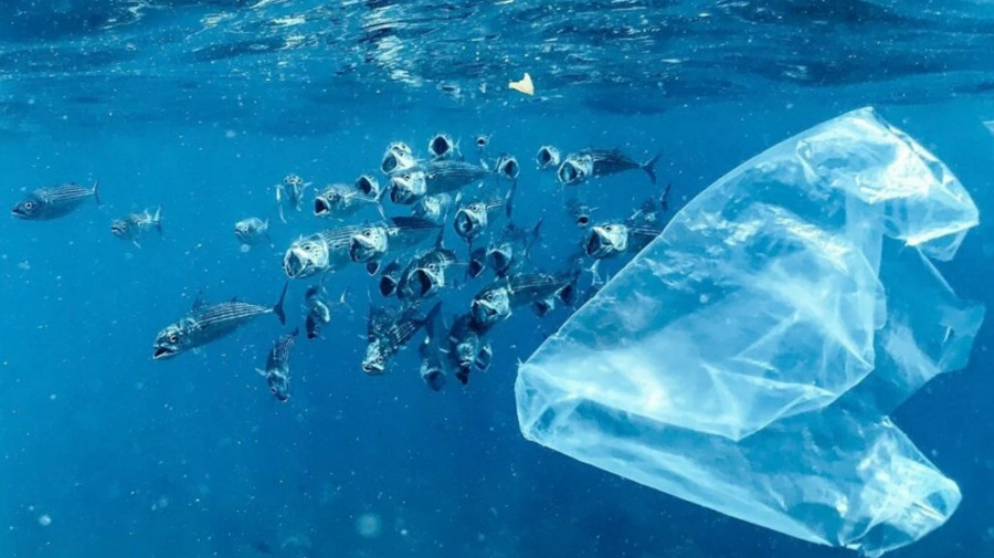 Cientistas japoneses criam plástico que se dissolve na água do Mar