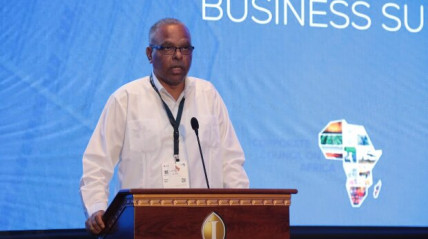 Ministro da Indústria e Comércio, Rui Minguês, discursa na abertura oficial da Cimeira EUA-África - Edições Novembro