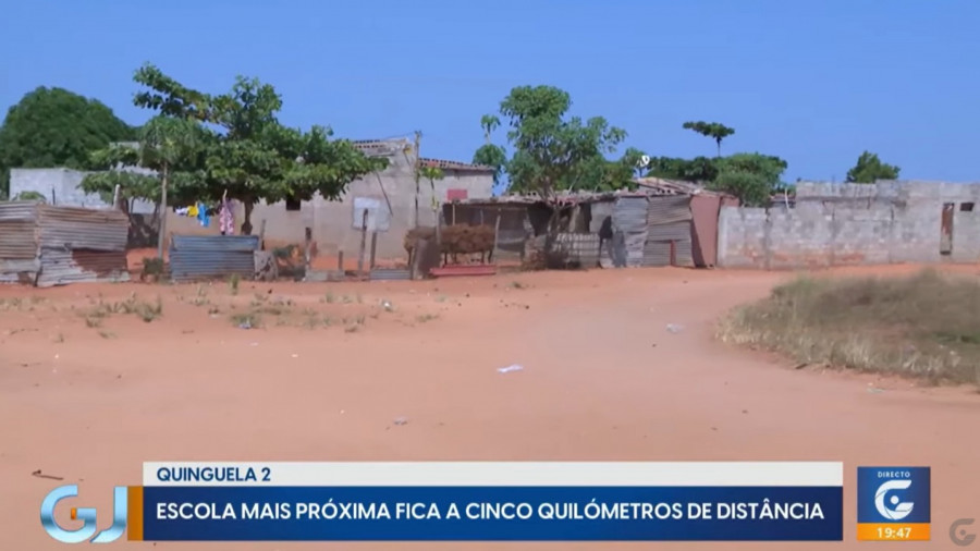 Rede Girassol