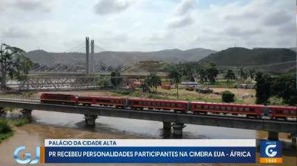 Rede Girassol