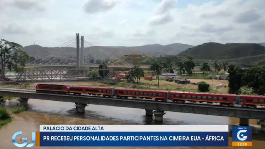 Rede Girassol