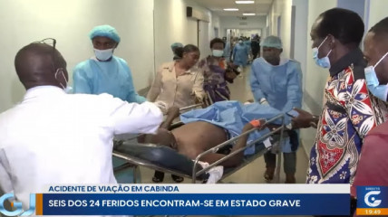 Rede Girassol - Rede Girassol