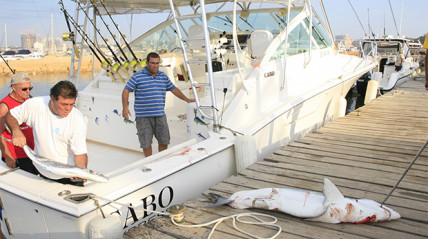 Torneio de pesca desportiva Kissembo  - DR