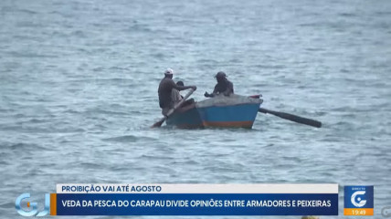 Rede Girassol - Rede Girassol