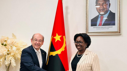 Ministra da Saúde, Silvia Lutucuta, reuniu-se com o presidente da Federação Mundial para o Ensino da Medicina - Cedida