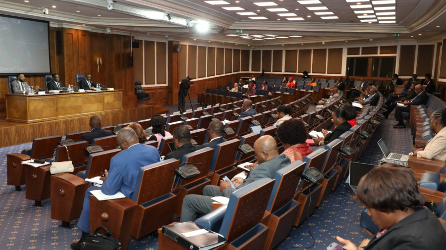 Deputados à Assembleia Nacional reunidos nas comissões de trabalho especializadas