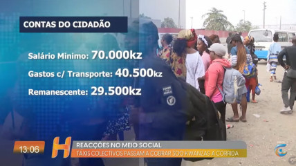 Rede Girassol - Rede Girassol