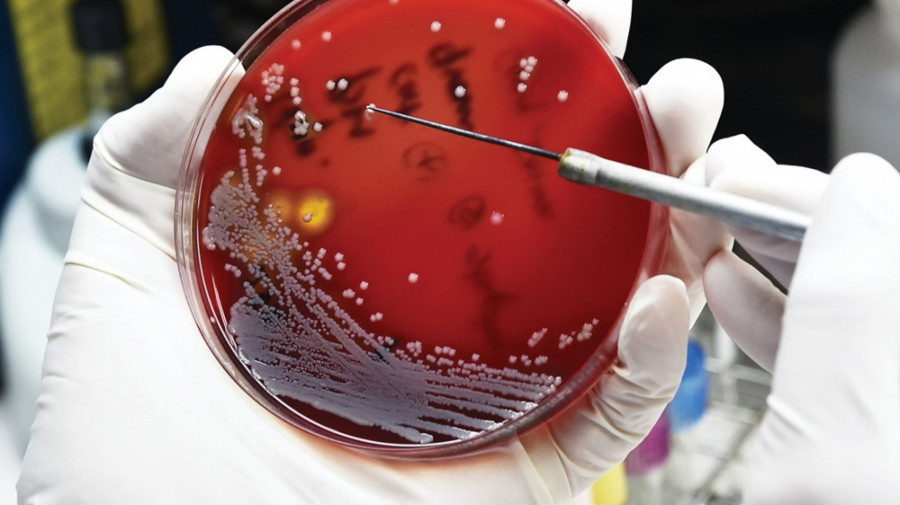 Cientistas descobrem nova classe de antibióticos naturais no corpo humano