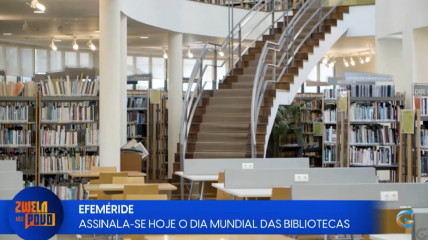 Rede Girassol - Rede Girassol