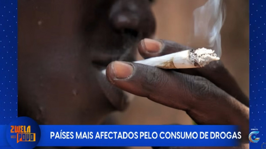 Rede Girassol