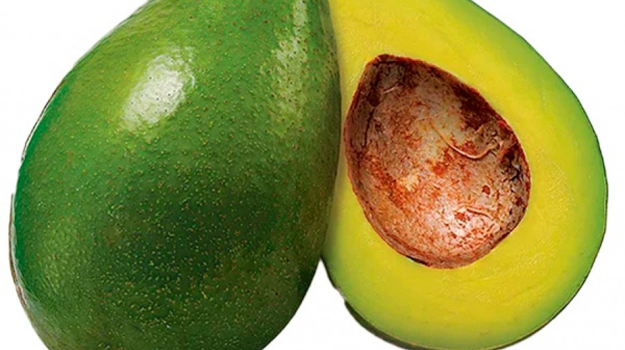 Países Baixos pretendem tornar Benguela num exportador de frutas secas