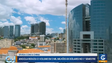 Rede Girassol - Rede Girassol