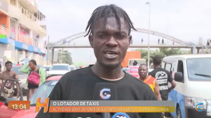 Rede Girassol - Rede Girassol