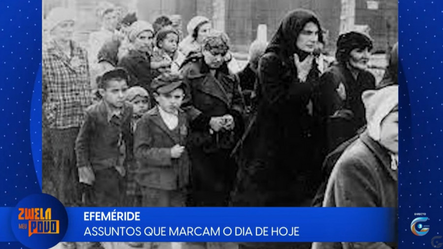 Rede Girassol