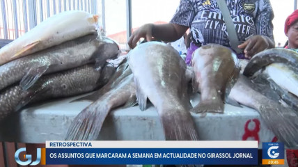 Rede Girassol - Rede Girassol