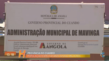Rede Girassol - Rede Girassol