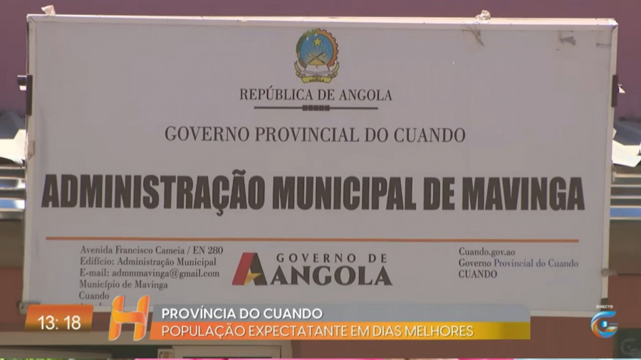 Rede Girassol