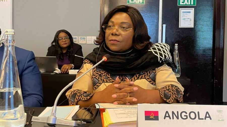 Deputada Lu&iacute;sa Dami&atilde;o participa na reuni&atilde;o na &Aacute;frica do Sul
