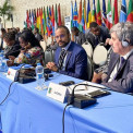 Caucus africano define estratégias em resposta as tarifas dos EUA