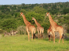 Angola lan&ccedil;a projectos estrat&eacute;gicos para dinamizar turismo - DR