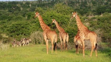 Angola lança projectos estratégicos para dinamizar turismo - DR