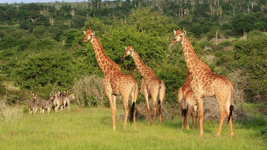 Angola lança projectos estratégicos para dinamizar turismo