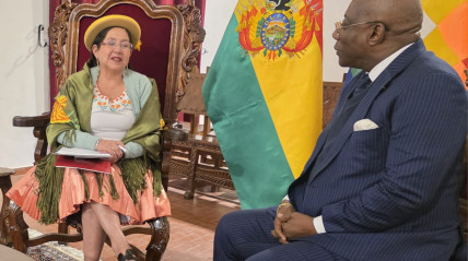 Ministra das Relações Exteriores da Bolívia, Celinda Sosa Lunda, recebeu mensagem do Presidente João Lourenço - Cedida