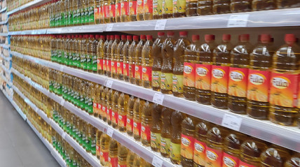 Óleo  alimentar - Edições Novembro