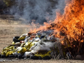 Polícia sul-africana destrói drogas avaliados em mais de 400 milhões de rands - DR