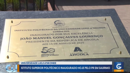 Rede Girassol - Rede Girassol