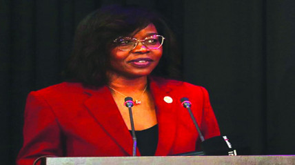 Presidente do Tribunal Constitucional - Edições Novembro