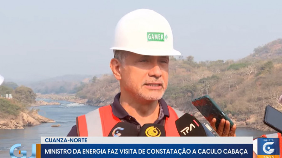 Rede Girassol