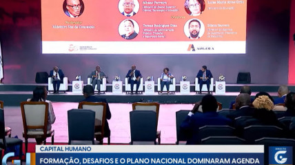 Rede Girassol - Rede Girassol