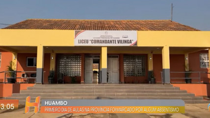 Rede Girassol - Rede Girassol