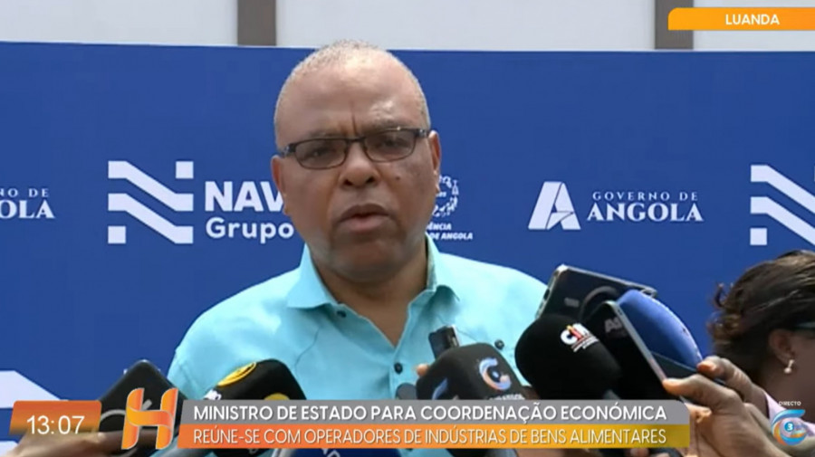 Rede Girassol