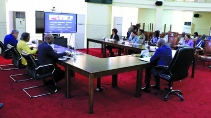 Reunião preparatória da participação de Angola na Assembleia Geral da ONU - Edições Novembro 