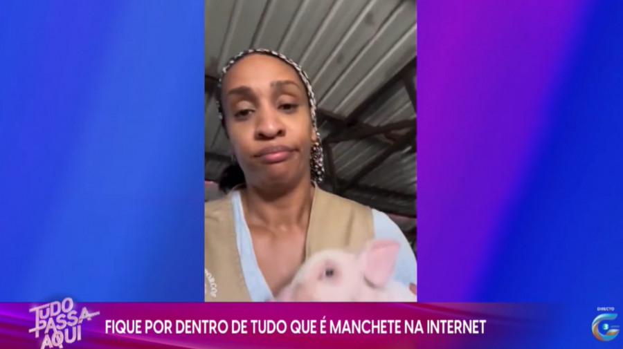 Rede Girassol