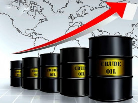 Barris de petr&oacute;leo  - DR