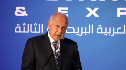 Liga Árabe saúda reconhecimento da Palestina por países ocidentais - DR