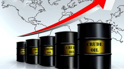 Barris de petr&oacute;leo  - DR