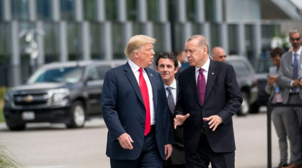 Trump e Erdogan chegam a entendimento sobre cessar-fogo em Gaza - DR