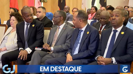 Rede Girassol - Rede Girassol