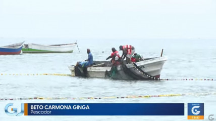 Rede Girassol - Rede Girassol